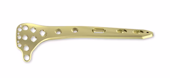 Femur Locking Plate Titanium Medical Plates Surgical Implants, Locking Plate, Medical Equipment