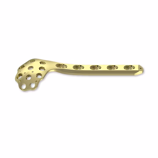 Femur Locking Plate Titanium Medical Plates Surgical Implants, Locking Plate, Medical Equipment